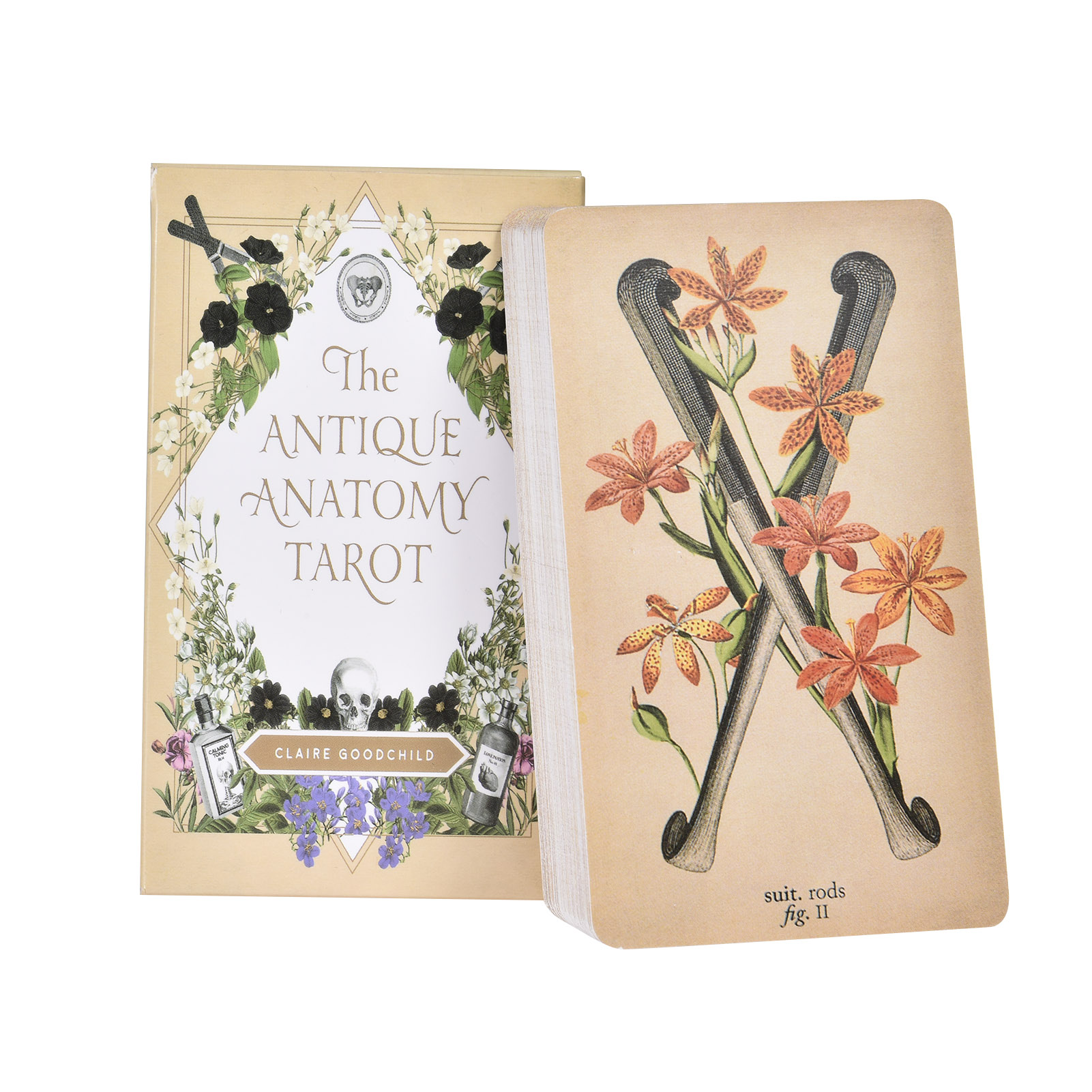 Tarot Cards Deck With Guidebook - The Antique Anatomy Tarot Cards English