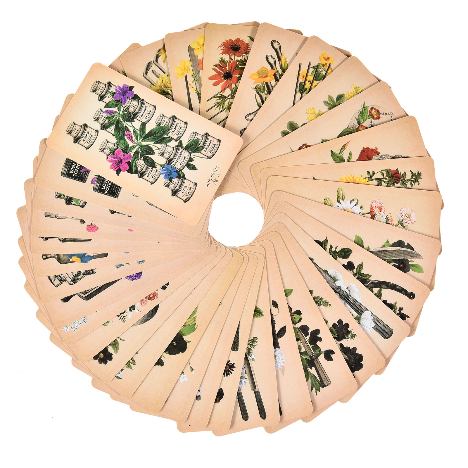 The Antique Anatomy Tarot Card - đánh giá và giá Tarot Cards Deck With Guidebook